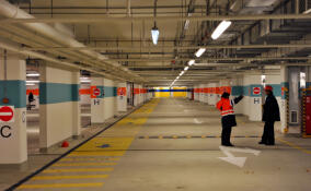 Житель Петербурга поджег чужой Mercedes за обещание списать долги