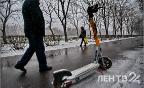 Мокрый снег и до +3 градусов: о погоде в Ленобласти 26 декабря