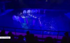 В Петербурге прошел спектакль на воде