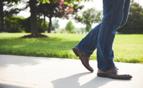 На месте «народной тропы» у станции «Девяткино» обустроят пешеходную дорожку