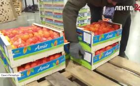 Волонтеры отправили новогодний груз на передовую