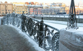В новогодние праздники в Петербурге откроют офлайн-порталы с гидами
