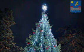 Деревню Вистино озарили огнями новогоднего декора