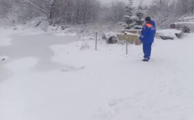 Уровень воды на Ояти спадает: спасатели следят за паводком в Лодейнопольском районе