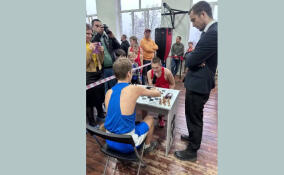 В Гатчине подвели итоги новогоднего турнира по шахбоксу