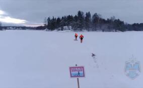 В реке у поселка Мельниково утонула собака