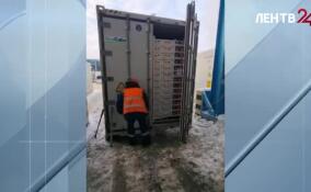 Импорт мандаринов в Петербург и Ленобласть с начала года составил более 126 тысяч тонн