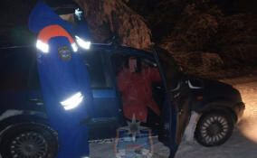 Из леса в Кировском районе вывели заплутавшую в метель женщину