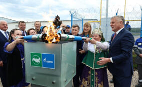 В Ленобласти за пять лет газ пришел в 177 населенных пунктов