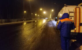 За неделю спасатели Ленобласти провели 103 выезда