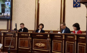 В Ленобласти усилят меры безопасности на новогодние и рождественские праздники