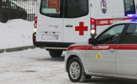 Пьяный мужчина напал на фельдшера скорой помощи в Петербурге