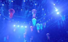 В Петербурге проходят гастроли новогоднего шоу Большого Московского цирка «Сказка о Золотой рыбке»