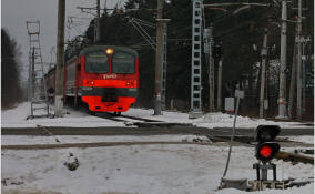 Путепровод через железную дорогу построят в Волосово благодаря вмешательству прокуратуры