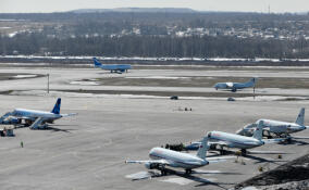 Прокуратура следит за правами пассажиров задержанных рейсов в Пулково