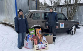 Более 6 тонн кормов собрали в Ленобласти для приютов для животных