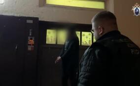 Петербуржца обвиняют в попытке поджечь квартиру на Гражданском проспекте