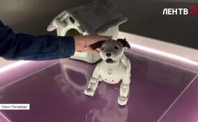 Роботы из России, Китая и Великобритании собрались в «Городе Будущего»