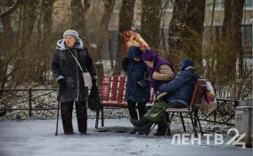 Морозную и снежную погоду пообещали жителям Ленобласти в первый день нового года