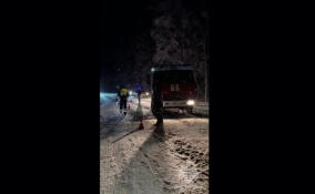 Два человека пострадали при столкновении легковушек в Киришском районе