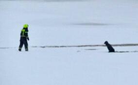 Двое мужчин провались под лед на реке Волхов в Ленобласти