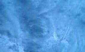 В деревнях Кировского района Ленобласти восстановили электроснабжение