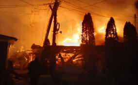 Александр Дрозденко о трагедии в Херсонской области: «Нет и не будет оправданий убийству мирных жителей»