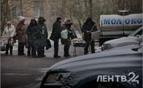 Снег и до -15 градусов ожидаются в Ленобласти 2  января