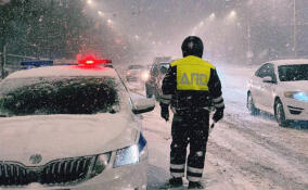 В новогоднюю ночь в Ленобласти выявили пять нетрезвых водителей
