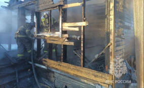 В садоводстве во Всеволожском районе потушили вспыхнувшую баню