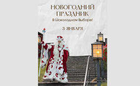 «Шоколадный Выборг» приглашает на бесплатный детский праздник