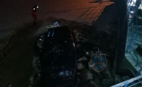 На Новоладожском канале перевернулась аэролодка. Погибли три человека