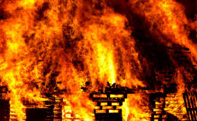 В Выборгском районе тушили 150 «квадратов»