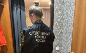 Жителя Коммунара подозревают в убийстве сожительницы