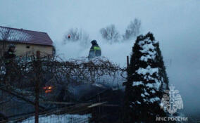 В Гатчинском районе полыхали частный дом, баня и хозпостройка
