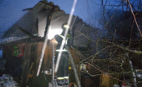 В Ленобласти за сутки потушили 13 пожаров