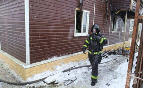 Из горящего дома в Волхове спасли трех взрослых и трех детей