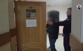 Подозреваемого в убийстве сожительницы в Коммунаре заключили под стражу