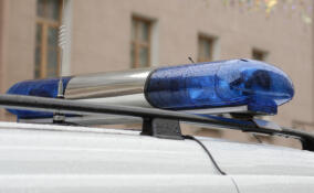 Авария у Русско-Высоцкого унесла жизнь водителя легковушки