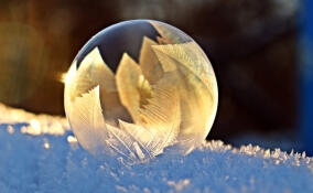 В ночь на вторник в Ленобласти ожидается до -23: прогноз погоды на 6 января