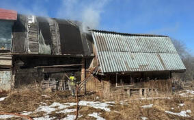 Пожар в Выборге унес жизнь человека