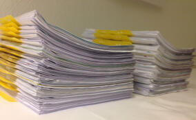 После гибели человека во время охоты в Кингисеппском районе прокуратура начала проверку