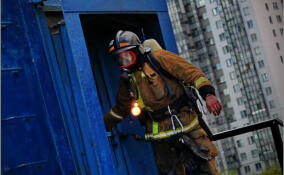 Два тела нашли на пепелище в Клопицах