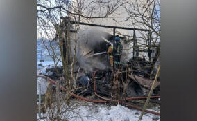 Пожар охватил частный дом и хозпостройку на 79 квадратах в Ленобласти