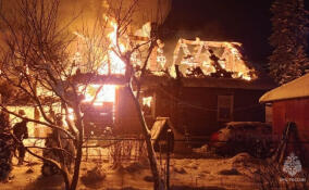 Частный дом загорелся ночью в Кургино