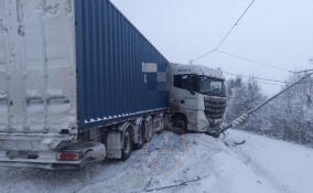 На трассе М-10 в Ленобласти грузовик врезался в столб