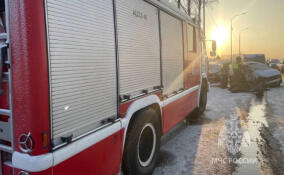 Две женщины погибли в лобовом ДТП на Киевском шоссе в Ленобласти