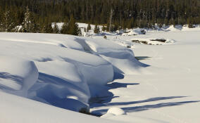 В Сосново зафиксировали самый высокий снежный покров в Ленобласти