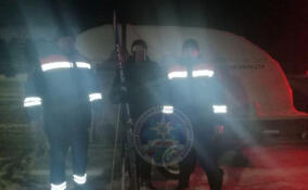 Спасатели Приозерска вывели из леса заблудившегося лыжника