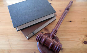 В Сосновом Бору выставят на торги долгострой после пяти лет простоя